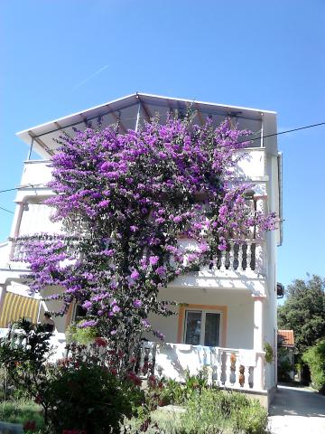 Apartmani Villa Jadranka – fotografija 3