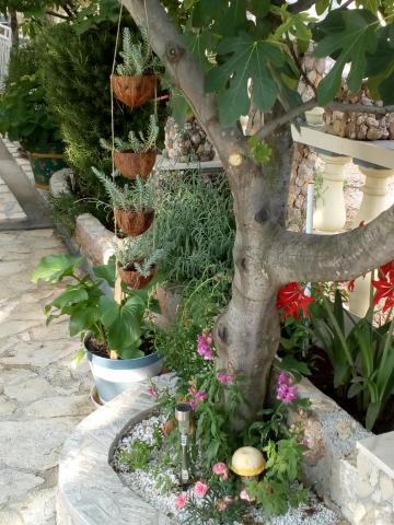 Apartmani Aurora – fotografija 5