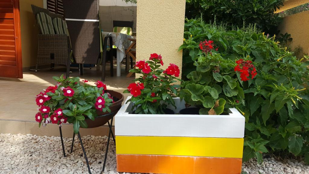Apartmani Šarić – fotografija 4