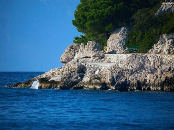 Apartmani Andrea – fotografija 3