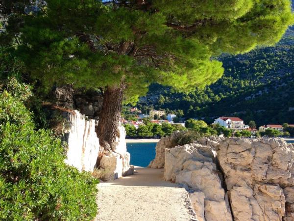 Apartmani Andrea – fotografija 5