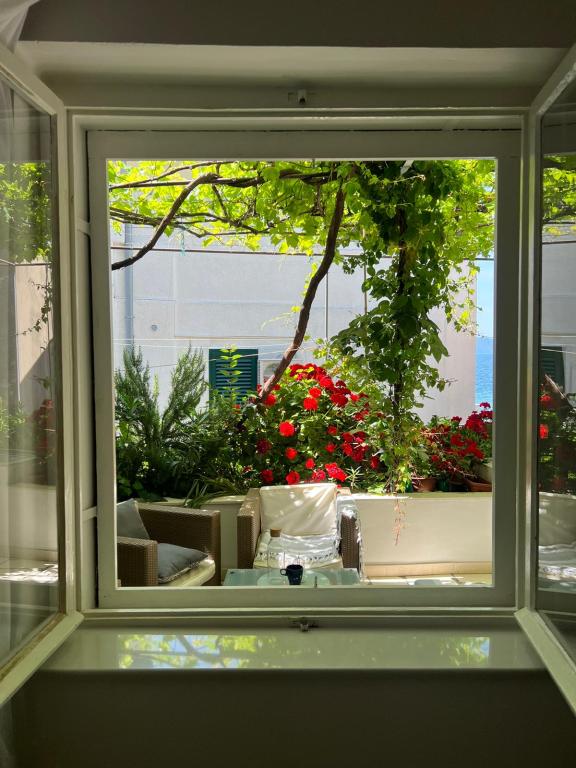 Apartman Lipa Mala – fotografija 1