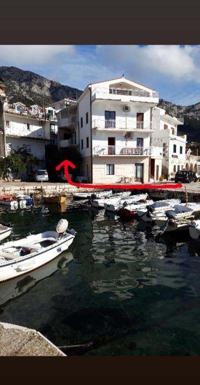 Apartman Lipa Mala – fotografija 3