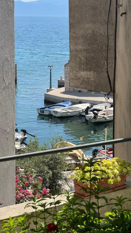 Apartman Lipa Mala – fotografija 5