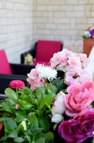 Apartman Dino – fotografija 3