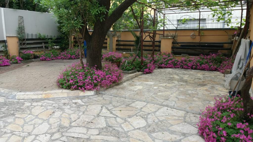 Apartman Rozi – fotografija 5