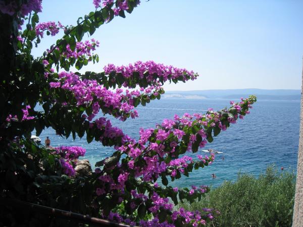 Apartmani Bougainvillea Beach House – fotografija 4