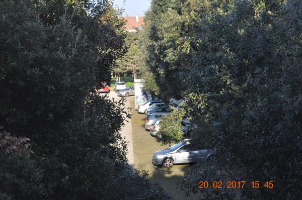 Apartman Dragica 2 – fotografija 5