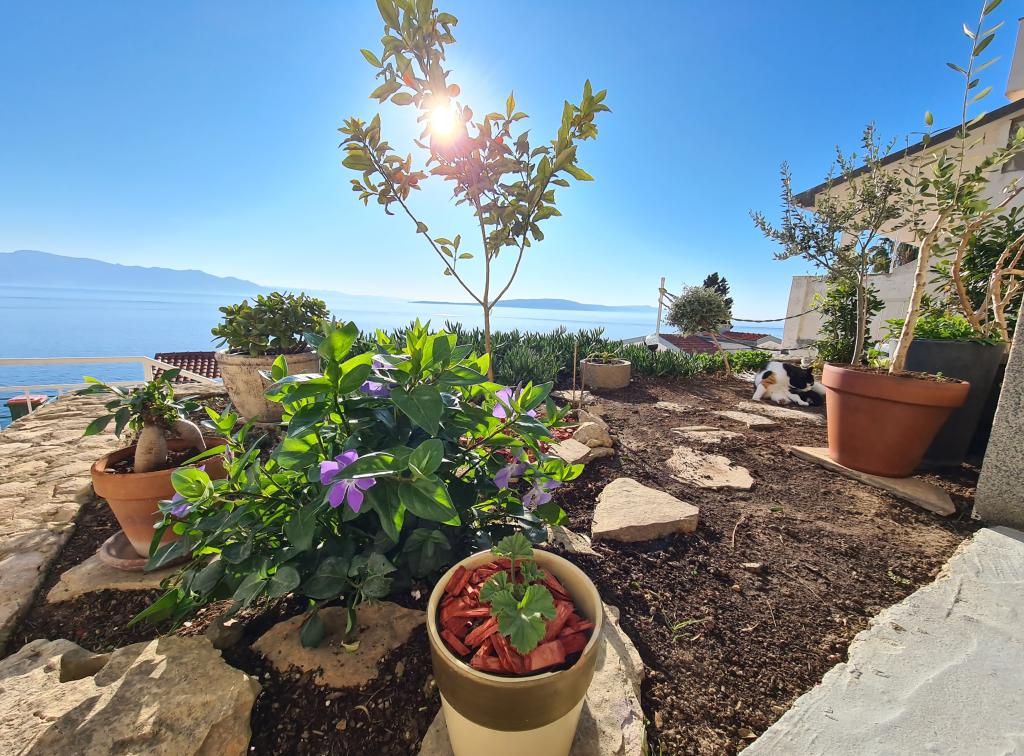 Apartmani Puntin – fotografija 6