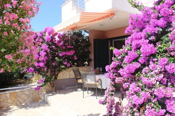 Apartmani Ivanković – fotografija 5