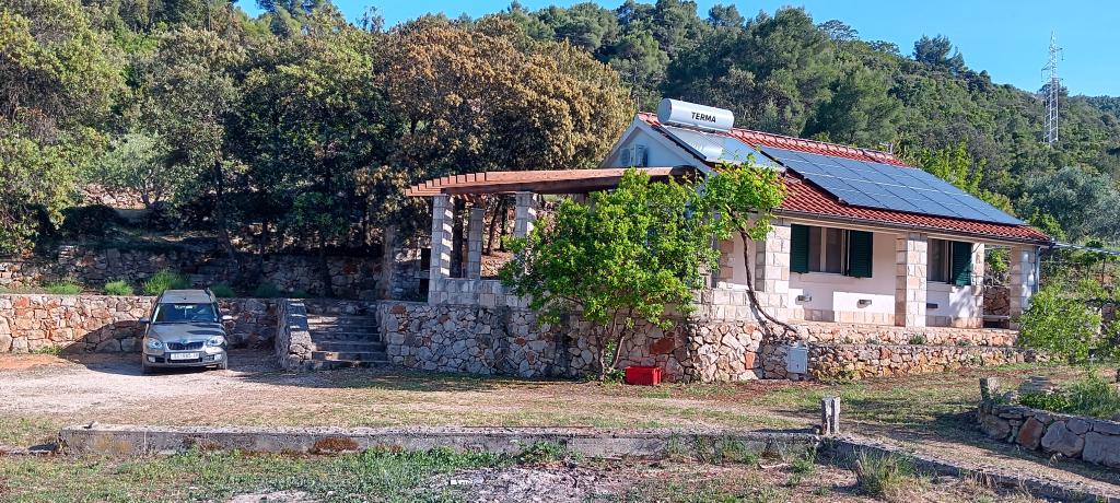 Olea – fotografija 4