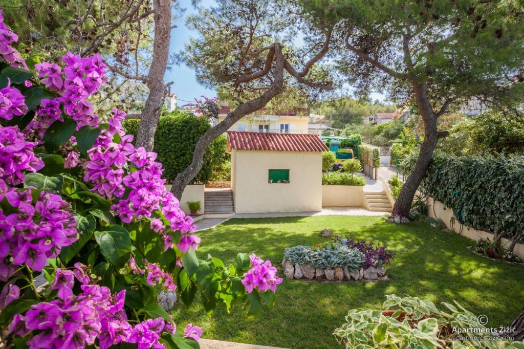 Apartmani Zizic – fotografija 5