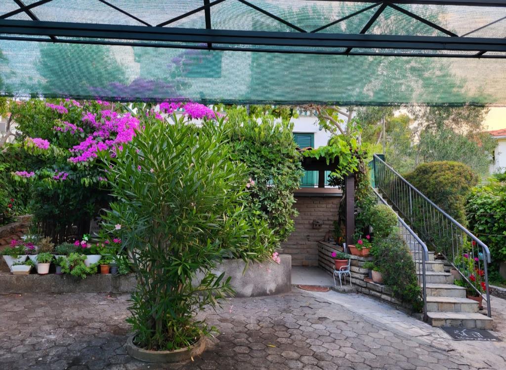 Apartmani Kandijaš – fotografija 5