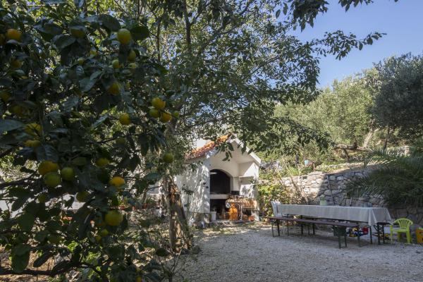 Apartmani Brik – fotografija 5