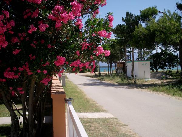 Apartmani Lora – fotografija 6
