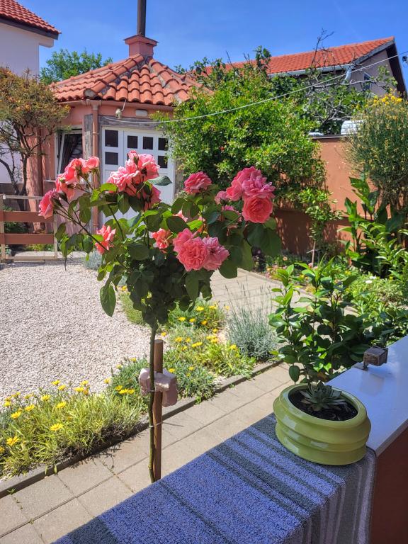 Apartman M1M – fotografija 3