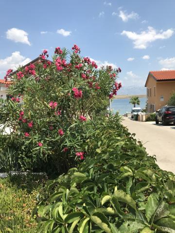 Apartmani Darija – fotografija 4