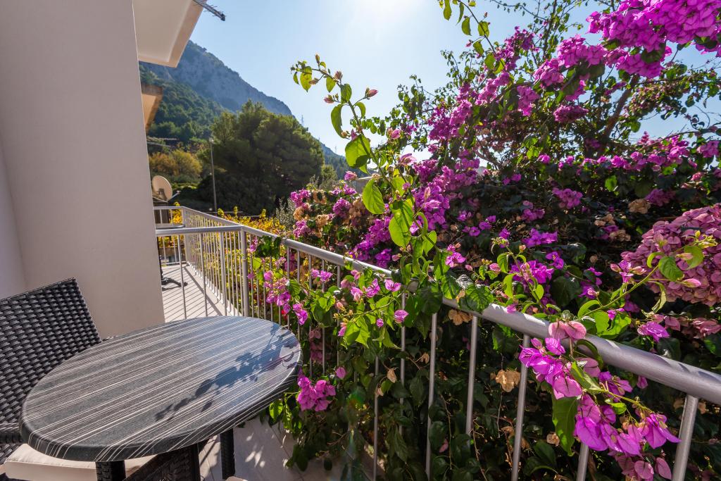 Apartman Nino – fotografija 1