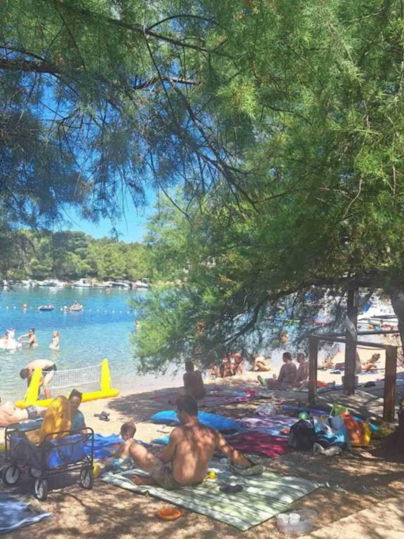 Apartman Miško – fotografija 5