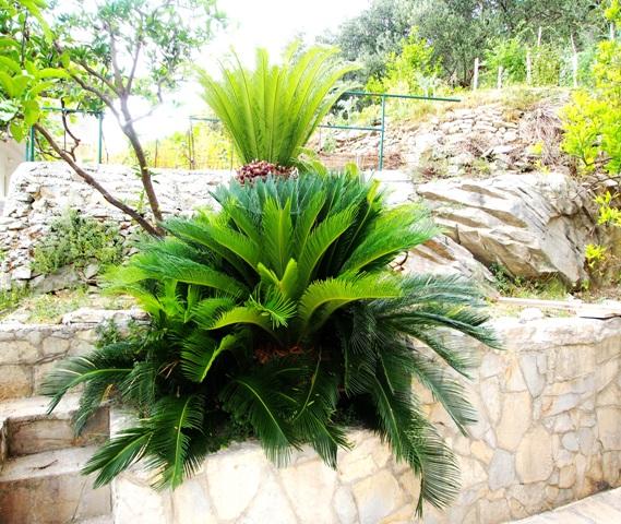 Apartman Diana – fotografija 2