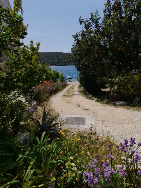 Sobe Zec – fotografija 4
