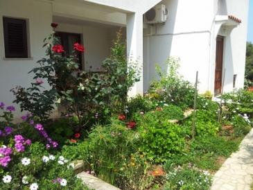 Apartmani Vita – fotografija 5