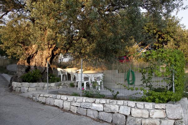 Apartmani Holiday – fotografija 4