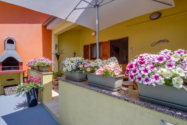 Apartman Arty – fotografija 6