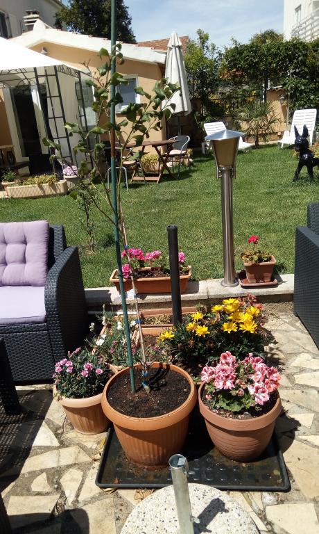 Apartmani Villa Dolce Vita – fotografija 4