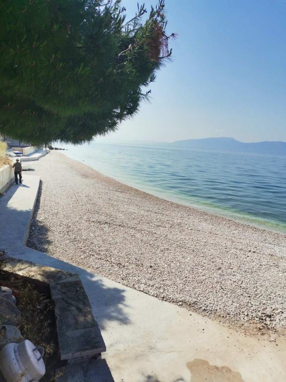 Apartmani Šarić – fotografija 6