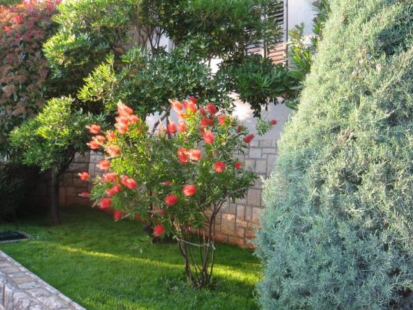 Apartmani Mareblu – fotografija 5
