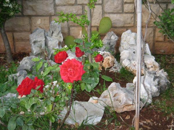 Apartmani Mareblu – fotografija 6