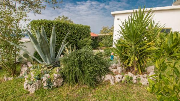 Apartmani Car – fotografija 4