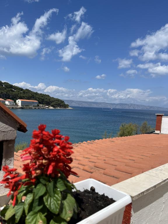 Apartmani Peronja – fotografija 6