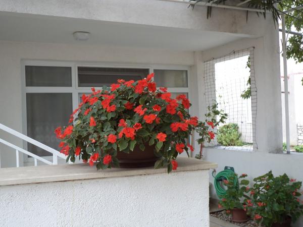 Apartmani Soka – fotografija 1