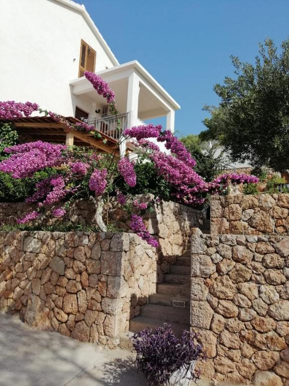 Apartmani Nila – fotografija 2