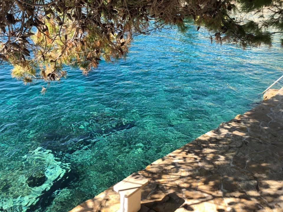 Apartmani Villa Domora – fotografija 4