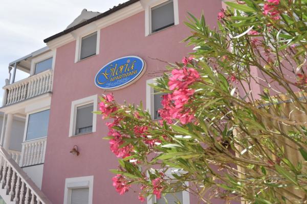 Apartmani Gloria – fotografija 3