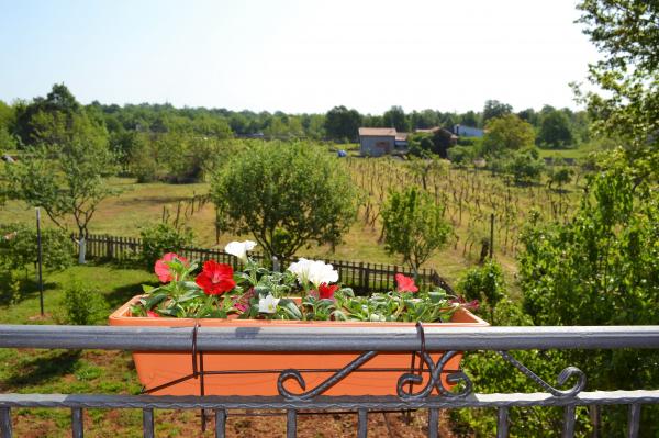 Apartmani Marko – fotografija 6
