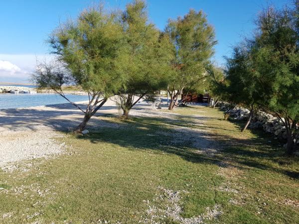 Apartman Pilčik – fotografija 5