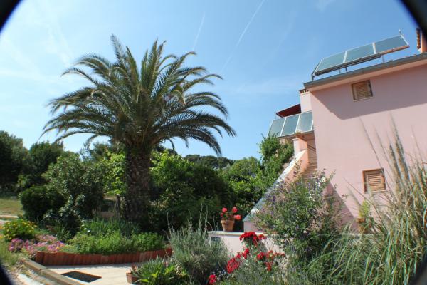 Apartmani Laura – fotografija 4