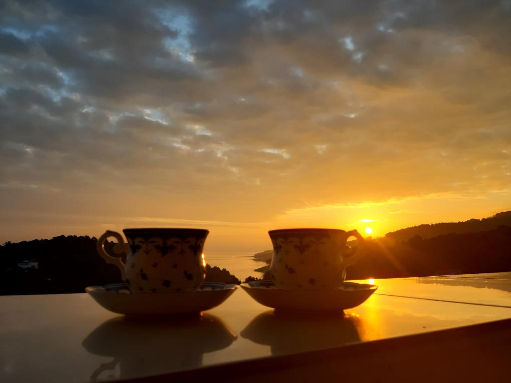 Apartmani Ozana – fotografija 1
