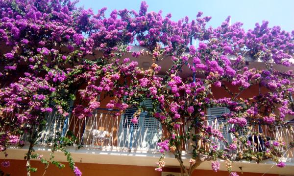 Apartmani Juradin – fotografija 3