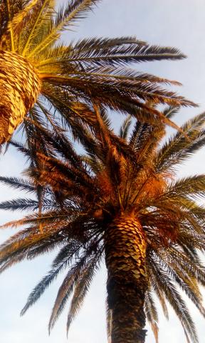 Apartmani Juradin – fotografija 6