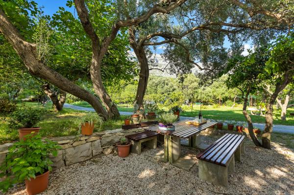 Apartmani Balić – fotografija 4