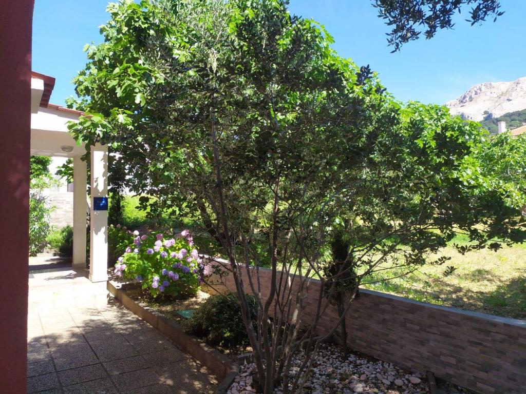 Apartmani Danica – fotografija 2