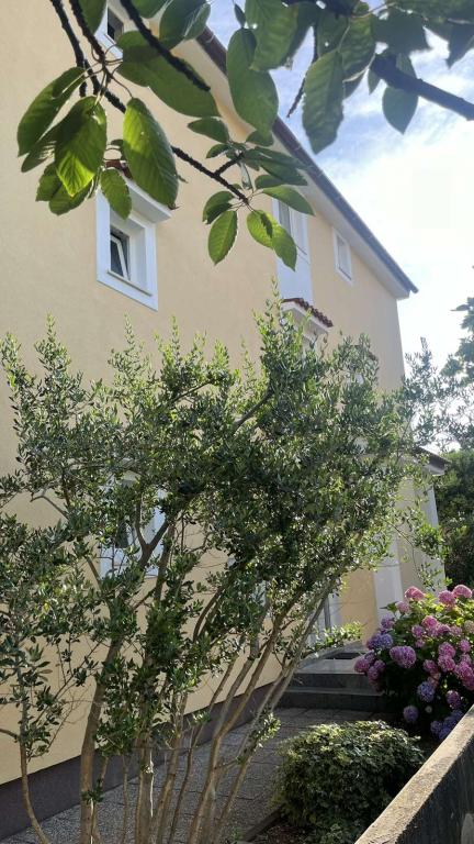 Apartmani Danica – fotografija 4