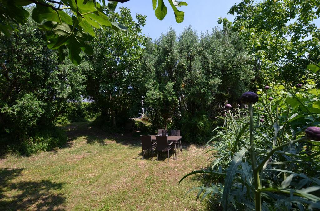 Apartmani Oleander – fotografija 4
