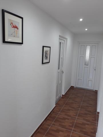 Apartmani Živko – fotografija 3