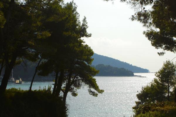 Apartmani Beach House – fotografija 4